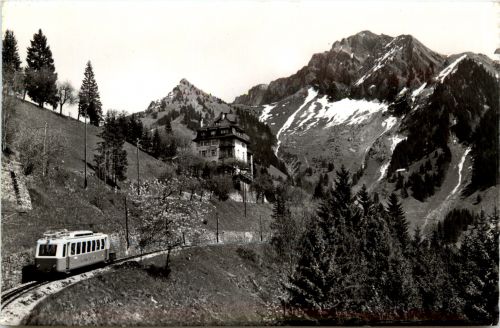 Caux - Hotel Alpina