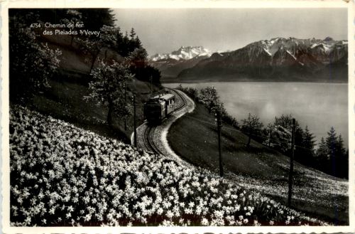 Chemin de fer des Pleiades sur Vevey