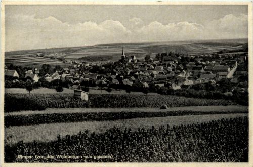 Rimpar von den Weinbergen