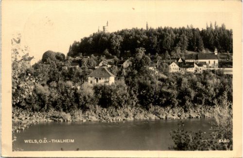 Wels - Thalheim