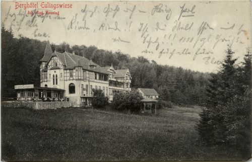 Berghotel Eulingswiese - Bad Sachsa