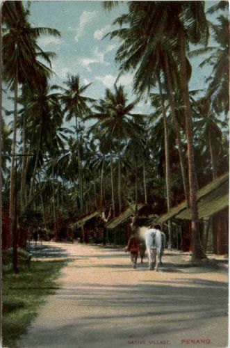 Penang - Native Village