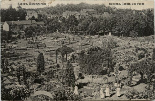 Zabern - Rosengarten - Saverne