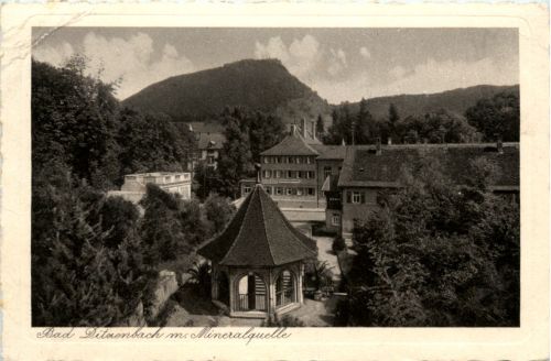Bad Ditzenbach mit Mineralquelle
