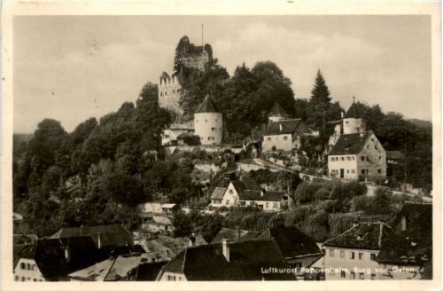 Pappenheim, Burg von Osten