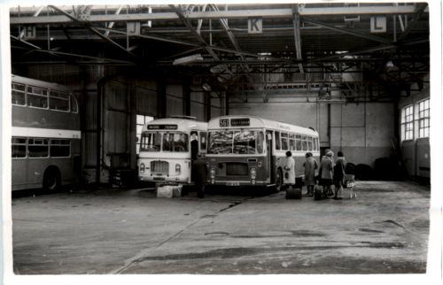 Bus