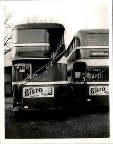 Bus