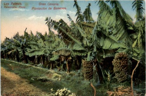 Gran Canaria - LAs Palmas
