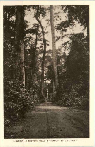 Nigeria - A Motor Road through the Forest