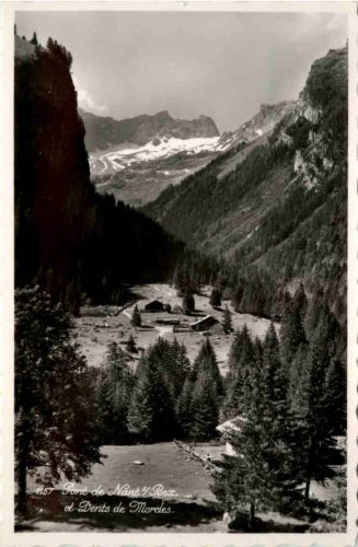 Pont de Nant sur Bex