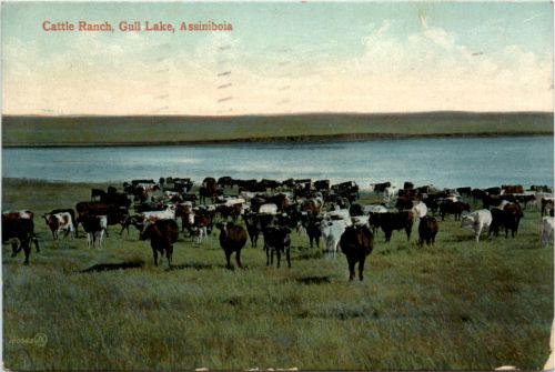 Assiniboia - Gull Lake