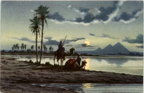 Egypt - The Pyramids and Nile