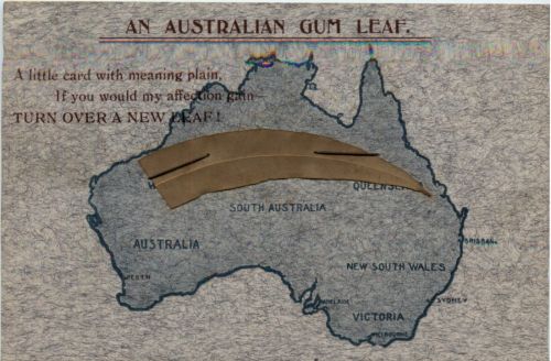 An Australian Gum Leaf