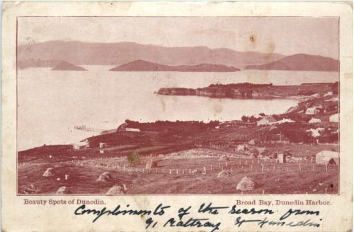 Dunedin Harbour - Broad Bay - New Zealand