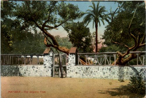 Mataria - The Virgins Tree - Egypt