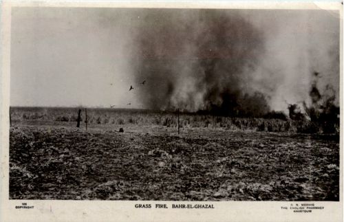 Bahr el Ghazal - Grass Fire