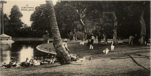 Alexandria - Nouzha arden