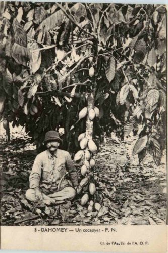 Dahomey - Un cocaoyer