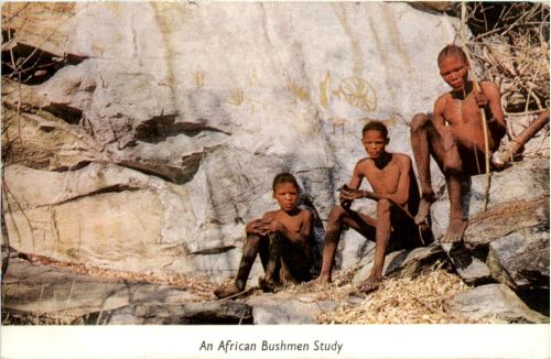 African Bushmen Study - Zimbabwe