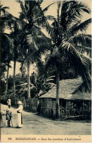 Madagascar - Sous les cocotiers d Anivorano