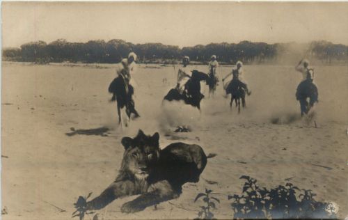 Eritrea - Caccia al leone
