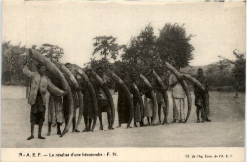 Le resultat d une hecatombe