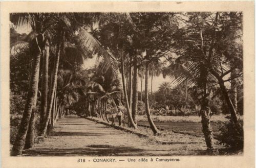 Conakry - Une allee a Camayenne