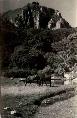 Rhodesia - Leopard Rock