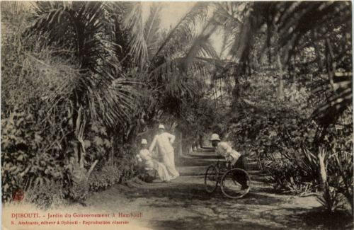 Djibouti - JArdin du Gouvernement a Hambouli