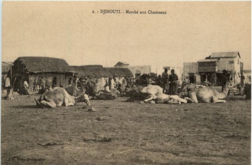 Djibouti - Marche aux Chameaux