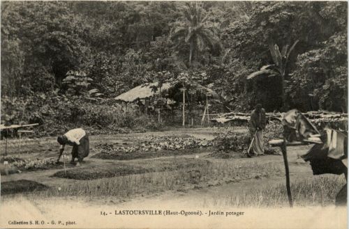 Lastoursville Ogooue - Jardin potager