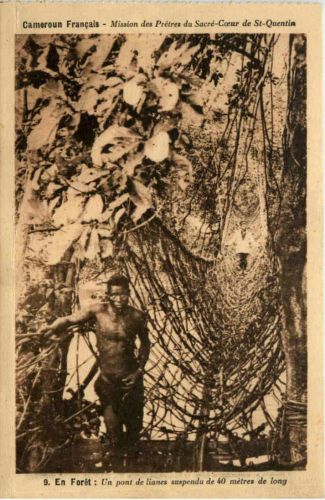 Cameroun - Pont de lianes