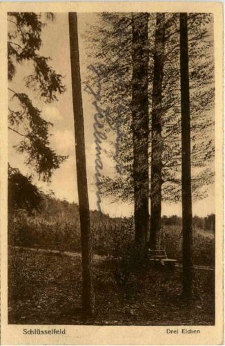 Schlüsselfeld, Drei Eichen