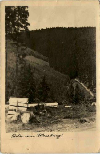 Partie am Blessberg, Steinheid/Thür.Wald