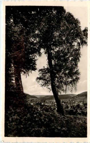 Blick auf Heiligenstadt/Eichsfeld