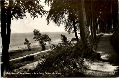 Ostseebad Scharbeutz, Waldweg in der Kammer