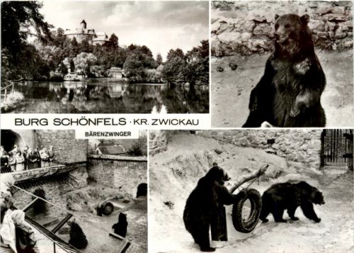 Burg Schönfels Kr. Zwickau, div. Bilder