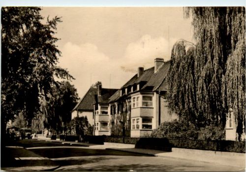 Salzwedel,