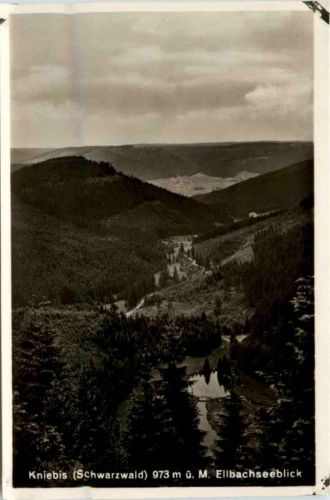 Kniebis Schwarzwald, Ellbachseeblick