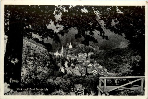 Blick auf Bad Bertrich