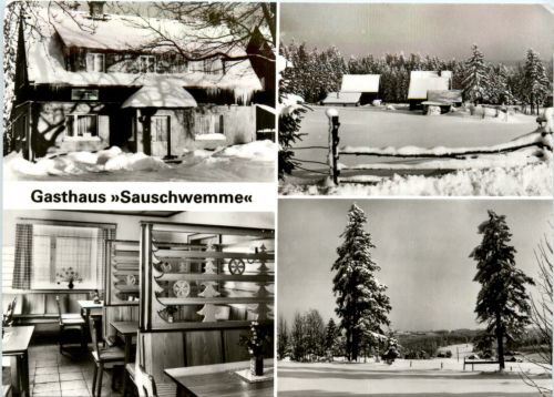 Johanngeorgenstadt Kr. Schwarzenber, Gasthaus Sauschwemme