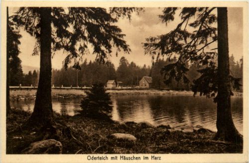 Oderteich mit Häuschen im Harz