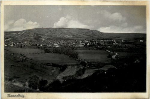 Hammelburg