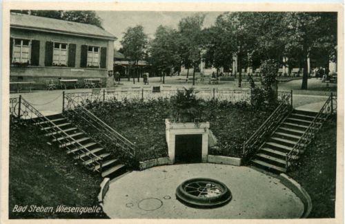 Bad Steben, Wiesenquelle
