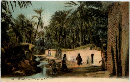 Biskra - L Oasis