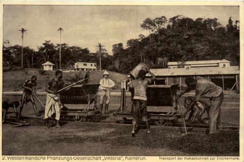 Kamerun - Westafrikanische Pflanzungs Gesellschaft Viktoria