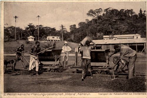 Kamerun - Westafrikanische Pflanzungs Gesellschaft Viktoria