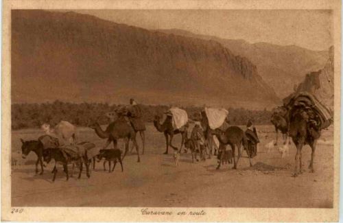 Caravane en route