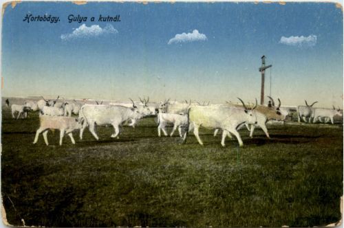 Hortobdgy - Gulya a kutnal
