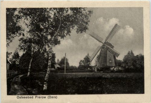 Ostseebad Prerow Dars